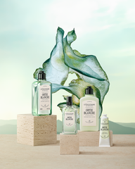White Nettle Hand Cream (Herbae)30 ml