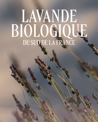 Lavender Bubble Bath Refill500 ml